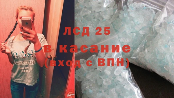 прущие крисы Болохово