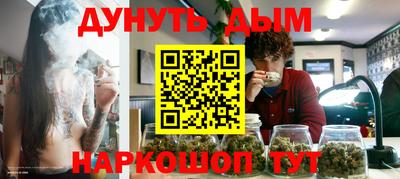 крисы Абакан