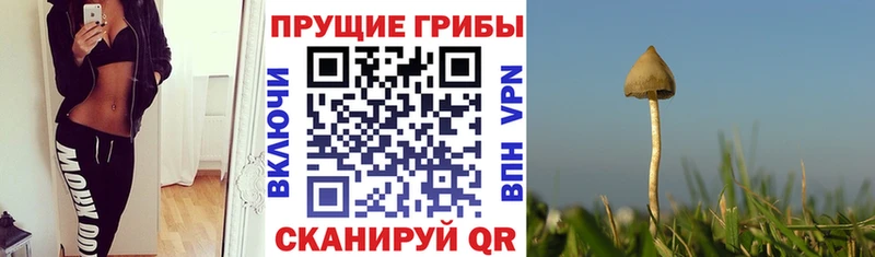 Галлюциногенные грибы мухоморы  наркота  OMG рабочий сайт  Волгоград 
