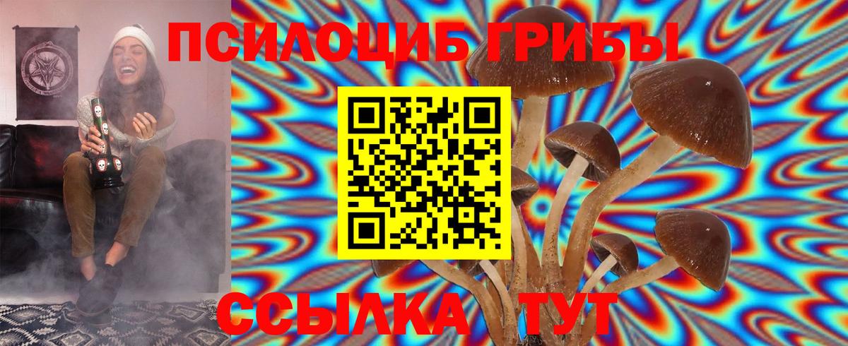 Галлюциногенные грибы Cubensis  Волгоград 