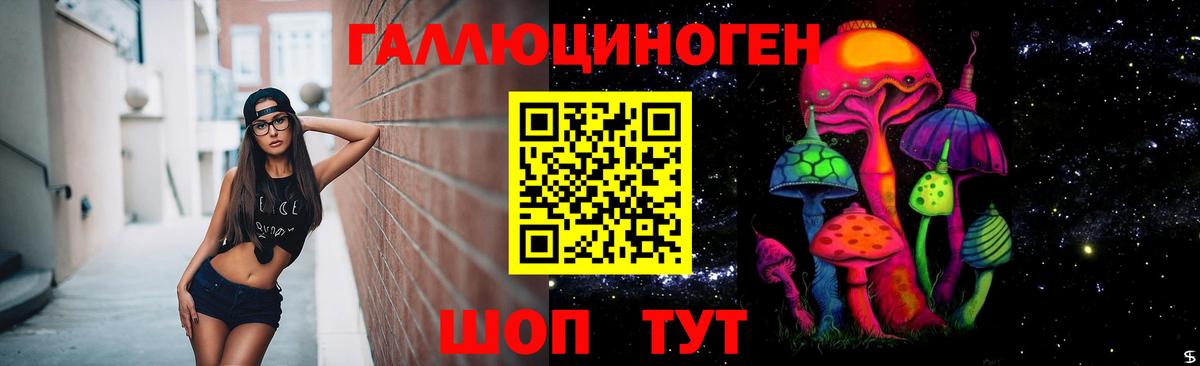 Галлюциногенные грибы Psilocybe  Вход с VPN  Волгоград 