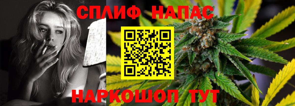 Каннабис планчик  Каннабис планчик  Волгоград  Конопля OG Kush  Каннабис сатива 